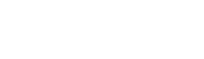 Gurú Fiscal